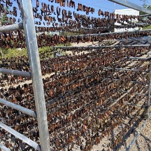 ����8��·���������Ʒ